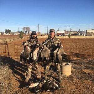 Meet your Posher, Phillip